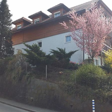 Mayerhofer House Linz Exterior foto