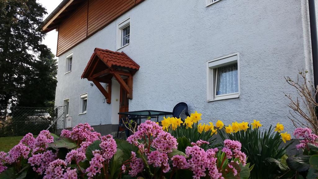Mayerhofer House Linz Exterior foto